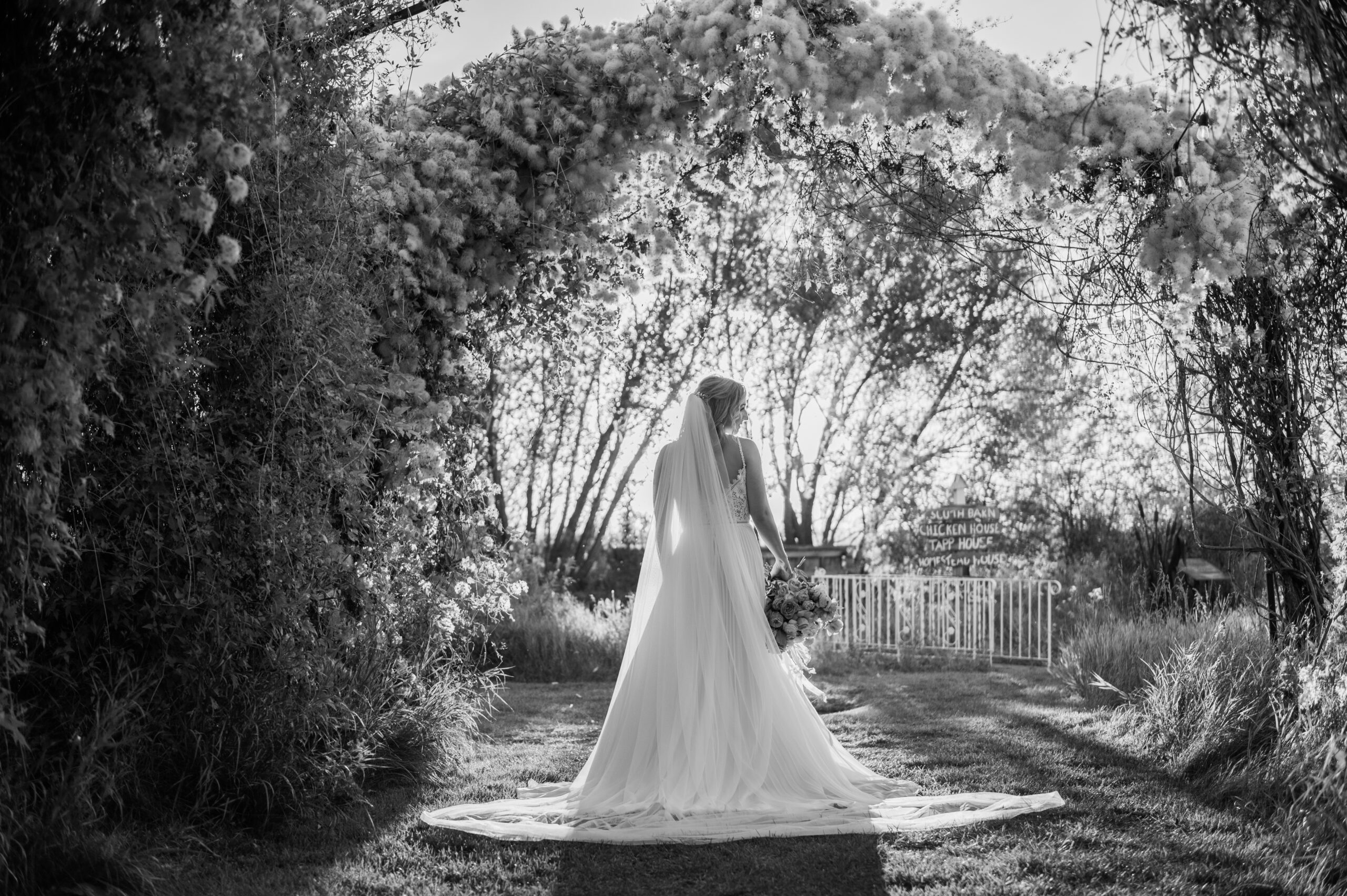 bride under foliage archway with sun shining behind her at golden hour black and white wedding portrait