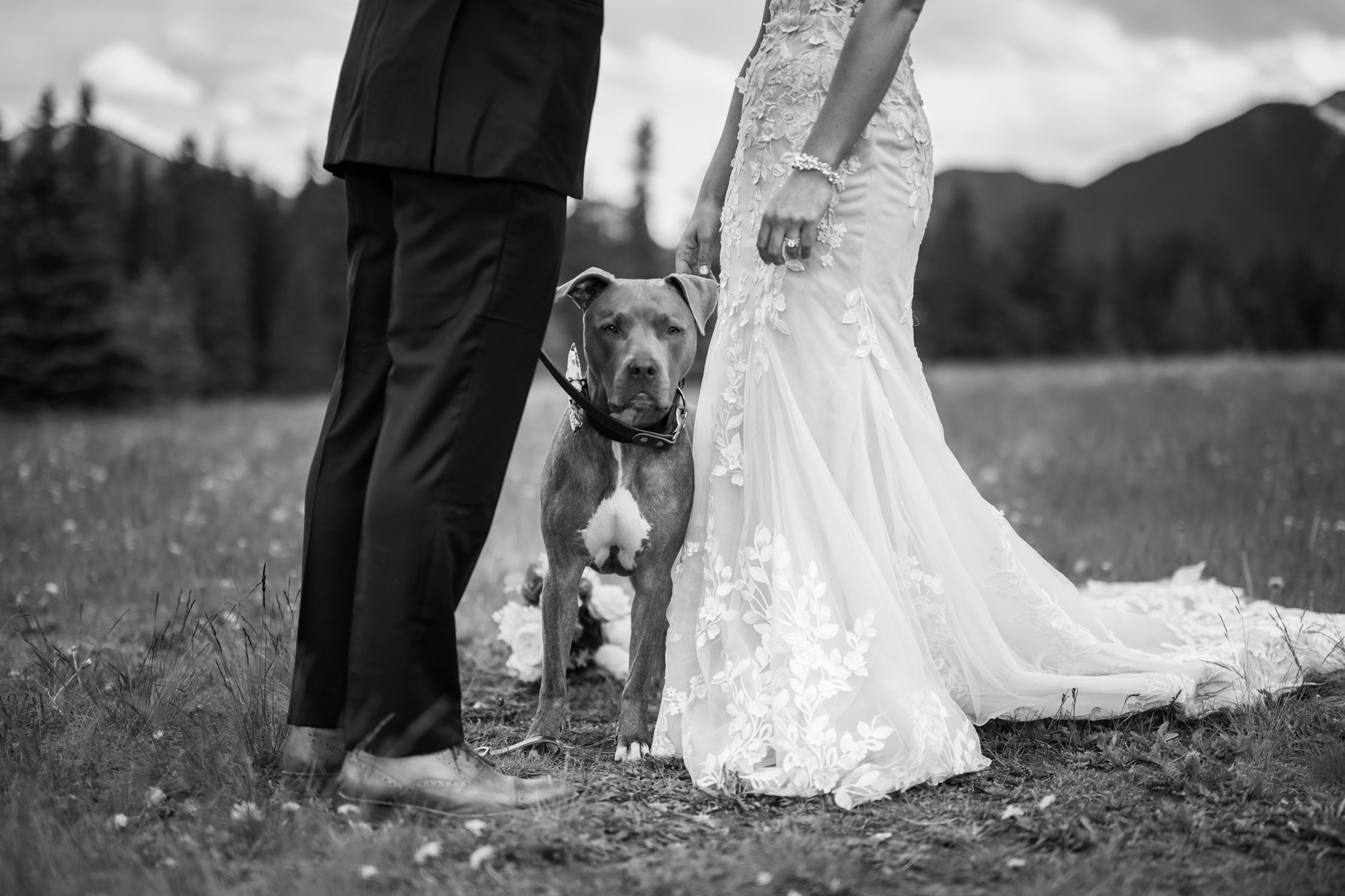 Bride and Groom with their Dog